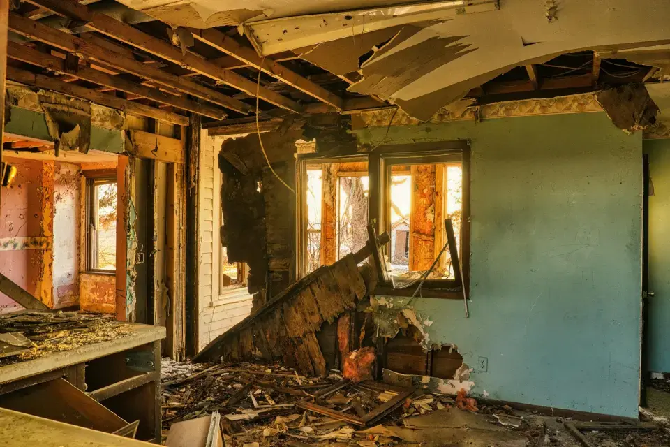 Leading Mold Removal Company in Sandy Springs — Sandy Springs, GA