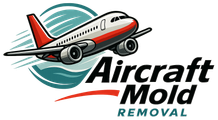 Aircraft Mold Removal